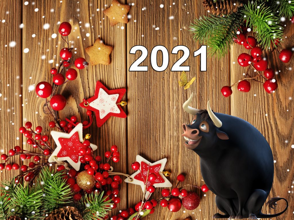 2021 год – Год Белого Металлического Быка по Восточному календарю - фото 5