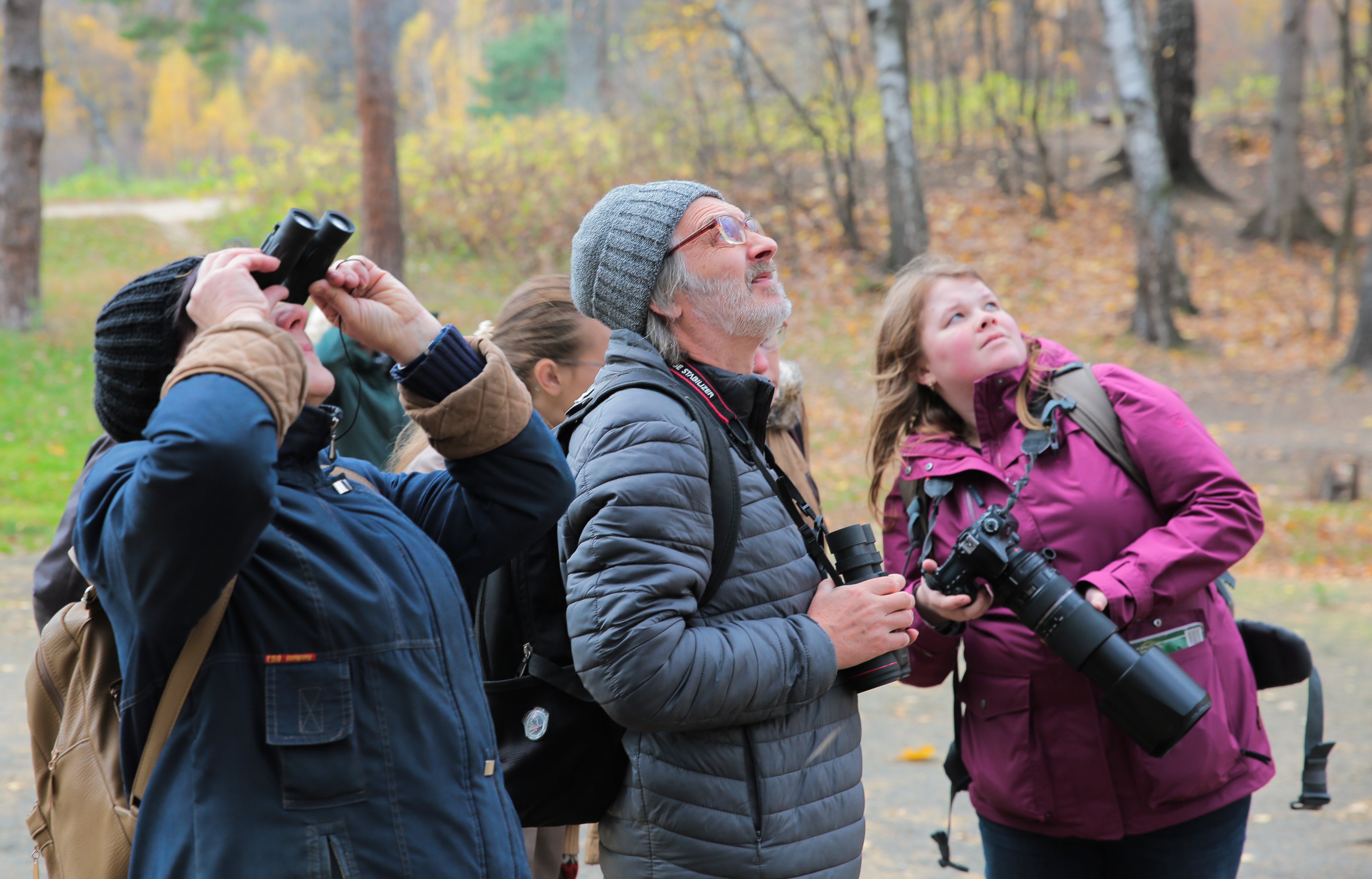 Международная акция EuroBirdwatch - фото 2