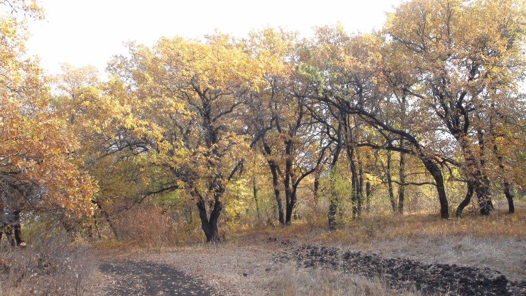 В природных парках Нижнего Поволжья проходят экоэкскурсии - фото 3
