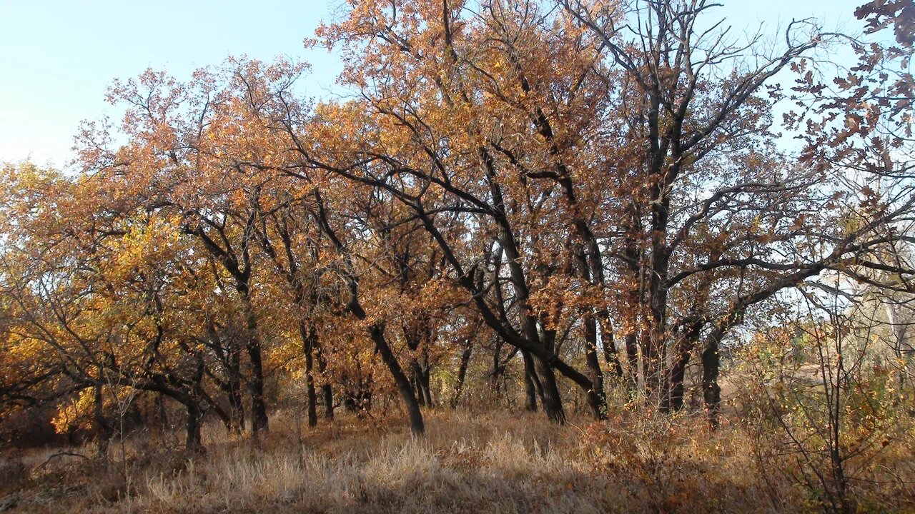 В природных парках Нижнего Поволжья проходят экоэкскурсии - фото 7