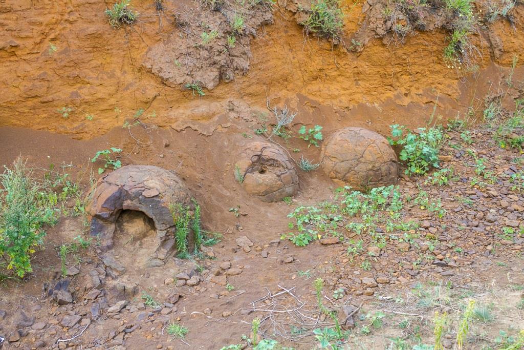 В природных парках Нижнего Поволжья проходят экоэкскурсии - фото 4