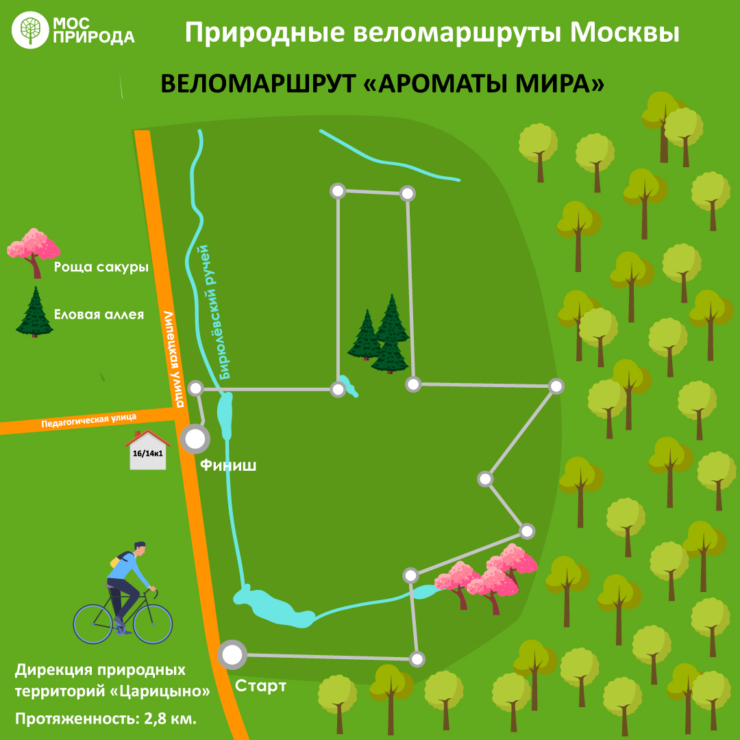 ТОП-8: Мосприрода предлагает москвичам опробовать лучшие веломаршруты на природных территориях   - фото 2