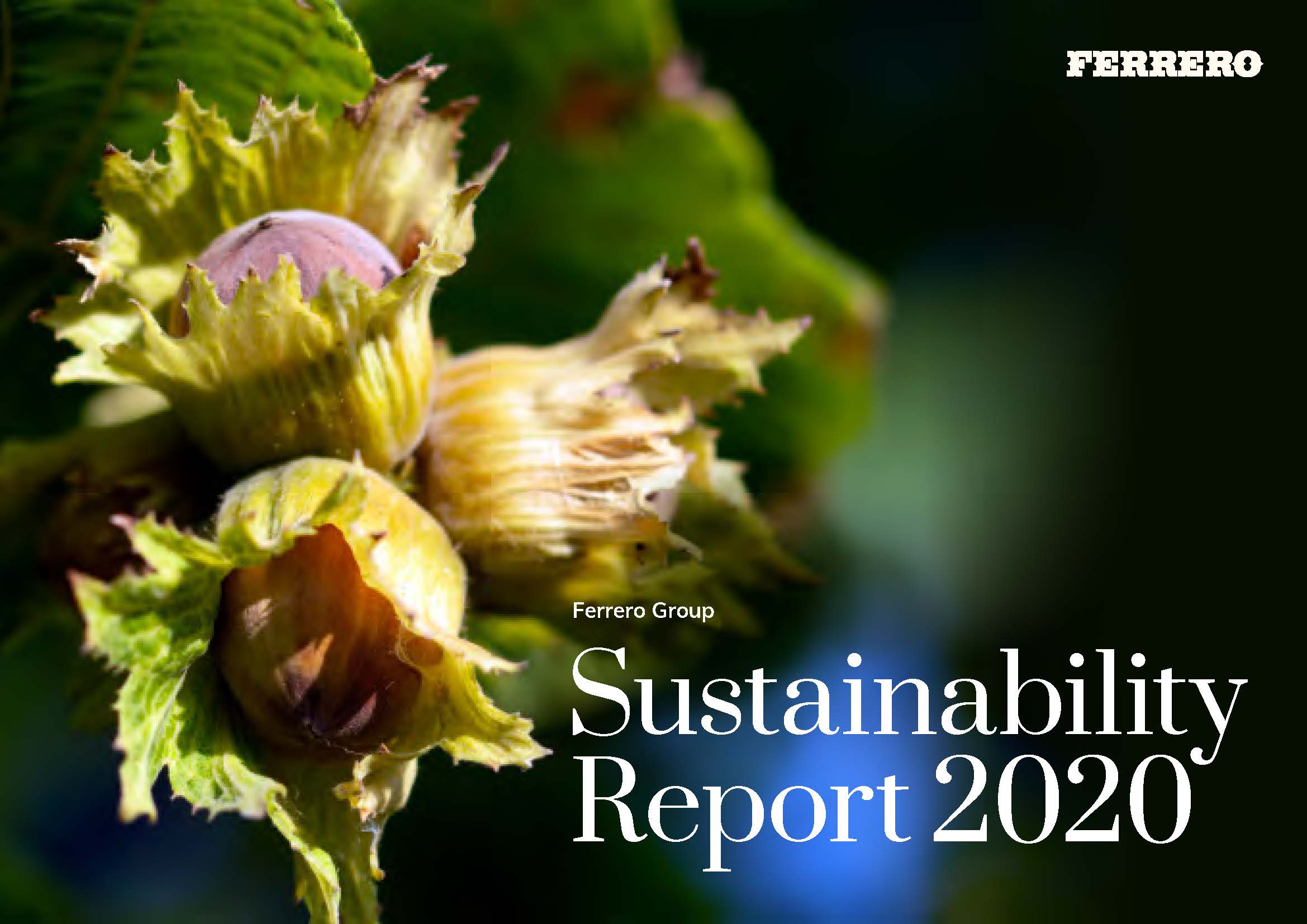 12th Sustainable Report