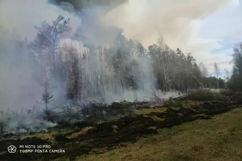 Положение с лесными пожарами в Якутии на 27 июля - фото 1