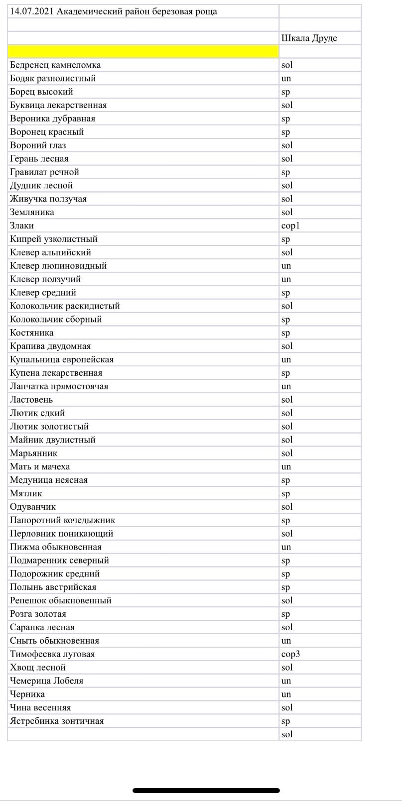 Березовая роща в Екатеринбурге – часть городского леса - фото 1