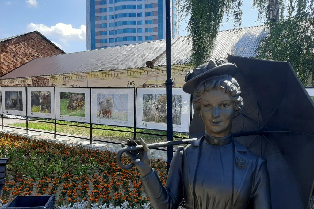 Передвижная фотовыставка под открытым небом  «Символ года — гордость века» в Серпухове  - фото 4