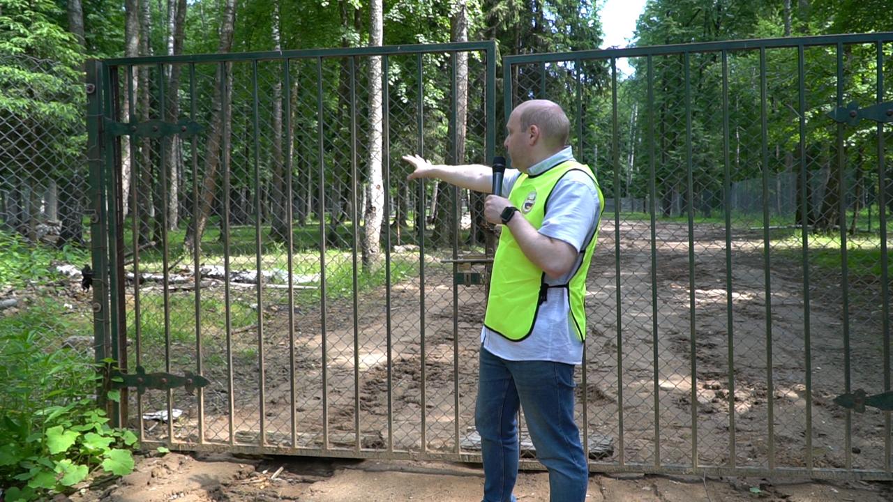 Экологи будут добиваться прекращения вырубки леса в Красногорском районе - фото 4