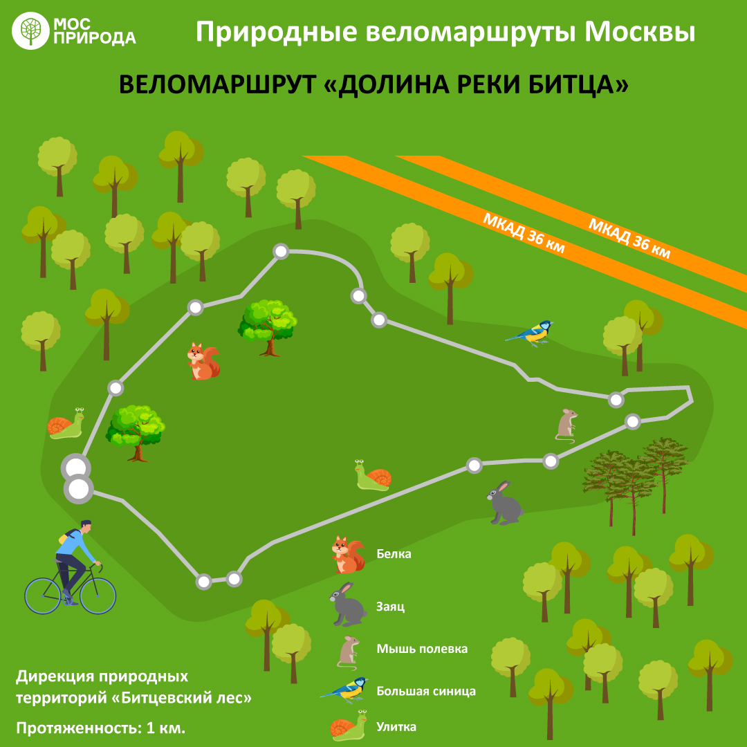 ТОП-8: Мосприрода предлагает москвичам опробовать лучшие веломаршруты на природных территориях   - фото 4