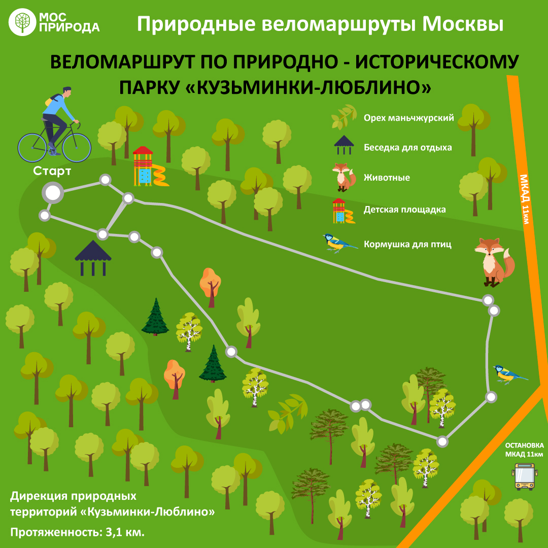 ТОП-8: Мосприрода предлагает москвичам опробовать лучшие веломаршруты на природных территориях   - фото 5