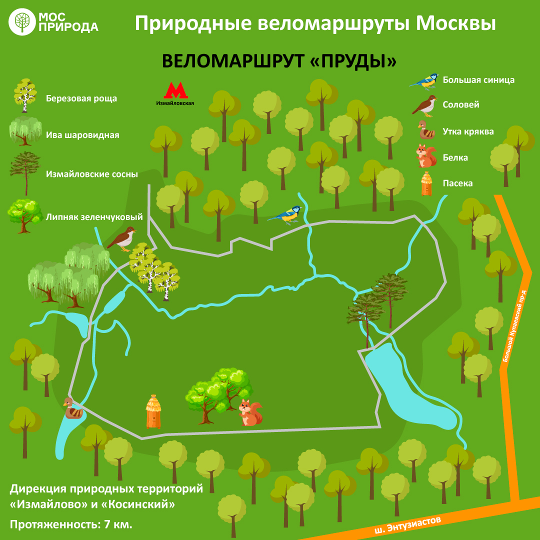 ТОП-8: Мосприрода предлагает москвичам опробовать лучшие веломаршруты на природных территориях   - фото 7