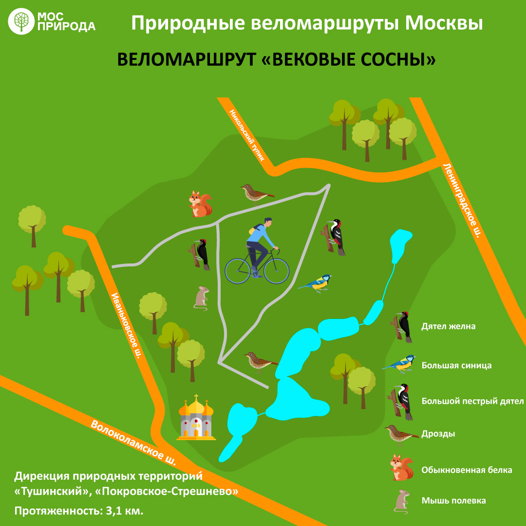 ТОП-8: Мосприрода предлагает москвичам опробовать лучшие веломаршруты на природных территориях   - фото 8