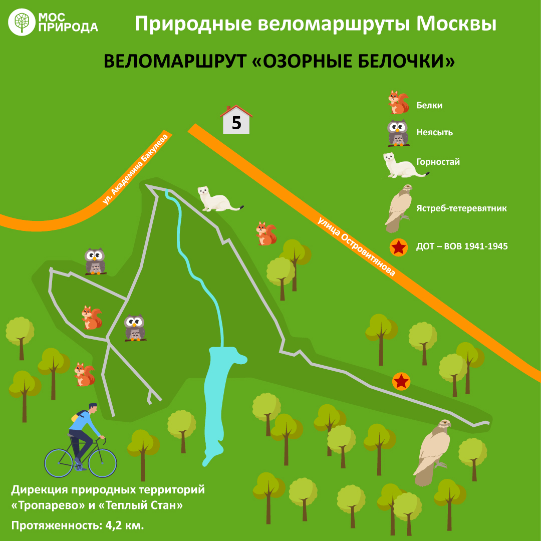 ТОП-8: Мосприрода предлагает москвичам опробовать лучшие веломаршруты на природных территориях   - фото 9