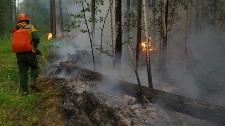 Пожары в Якутии на 14 июля - фото 3