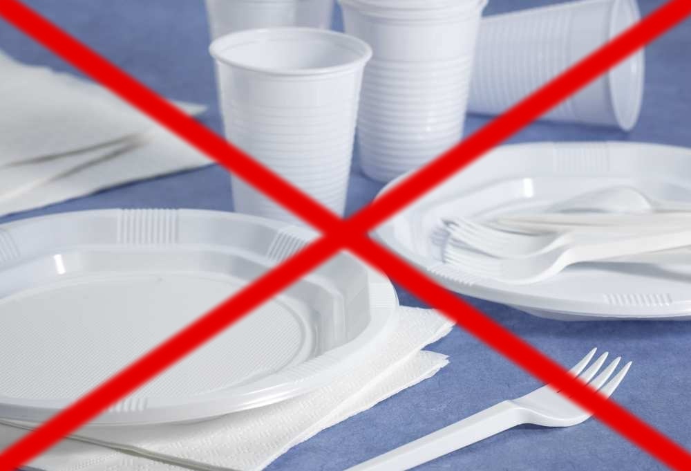 ЕС запретил ряд одноразовых пластиковых изделий - фото 1