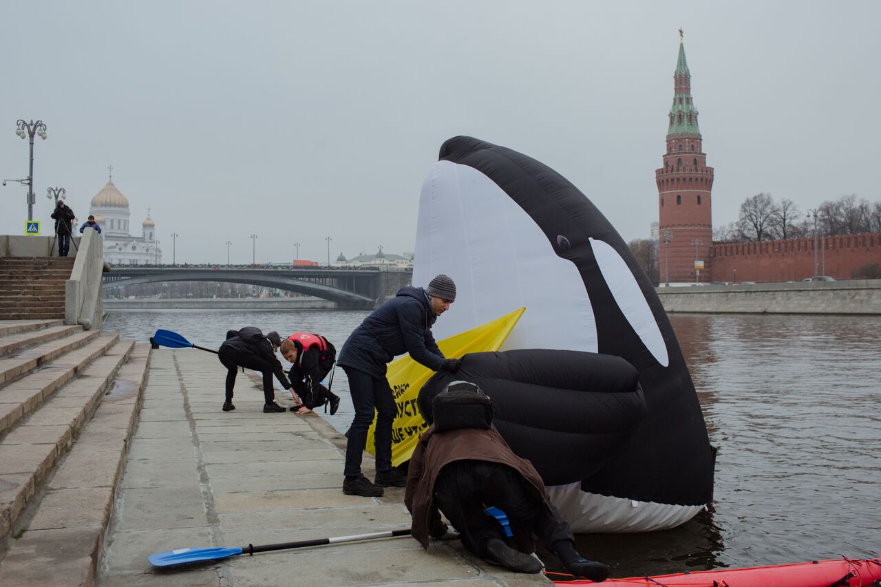 Косатка у Кремля: акция за запрет вылова китообразных - фото 2
