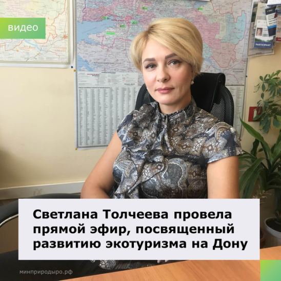 Начальник управления минприроды Светлана Толчеева провела прямой эфир - фото 1