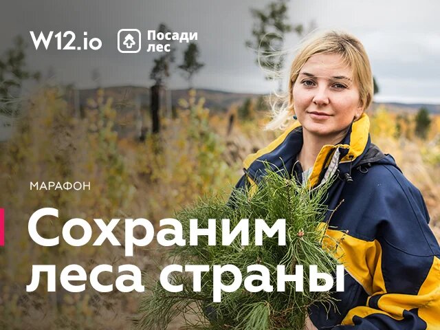 Стартовал всероссийский марафон “Сохраним леса страны” - фото 1