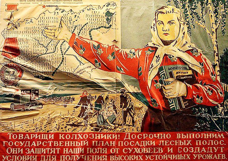 Новые лесополосы будут. Но не вырубят ли их вскоре? - фото 2