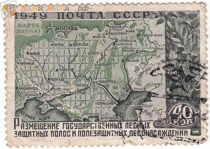 Новые лесополосы будут. Но не вырубят ли их вскоре? - фото 5