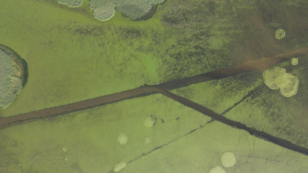В Астраханском заповеднике защищают воду от огня - фото 2