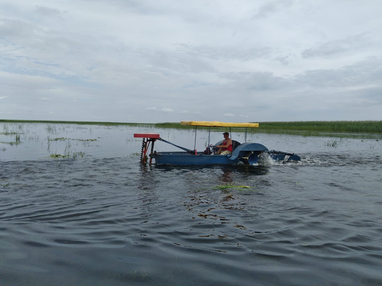 В Астраханском заповеднике защищают воду от огня - фото 3