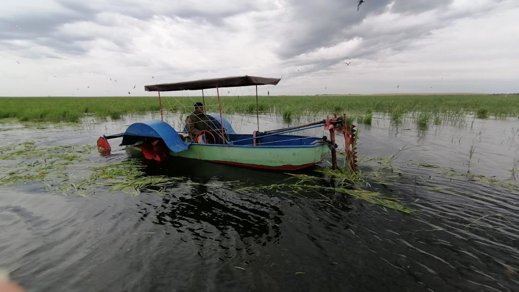 В Астраханском заповеднике защищают воду от огня - фото 4