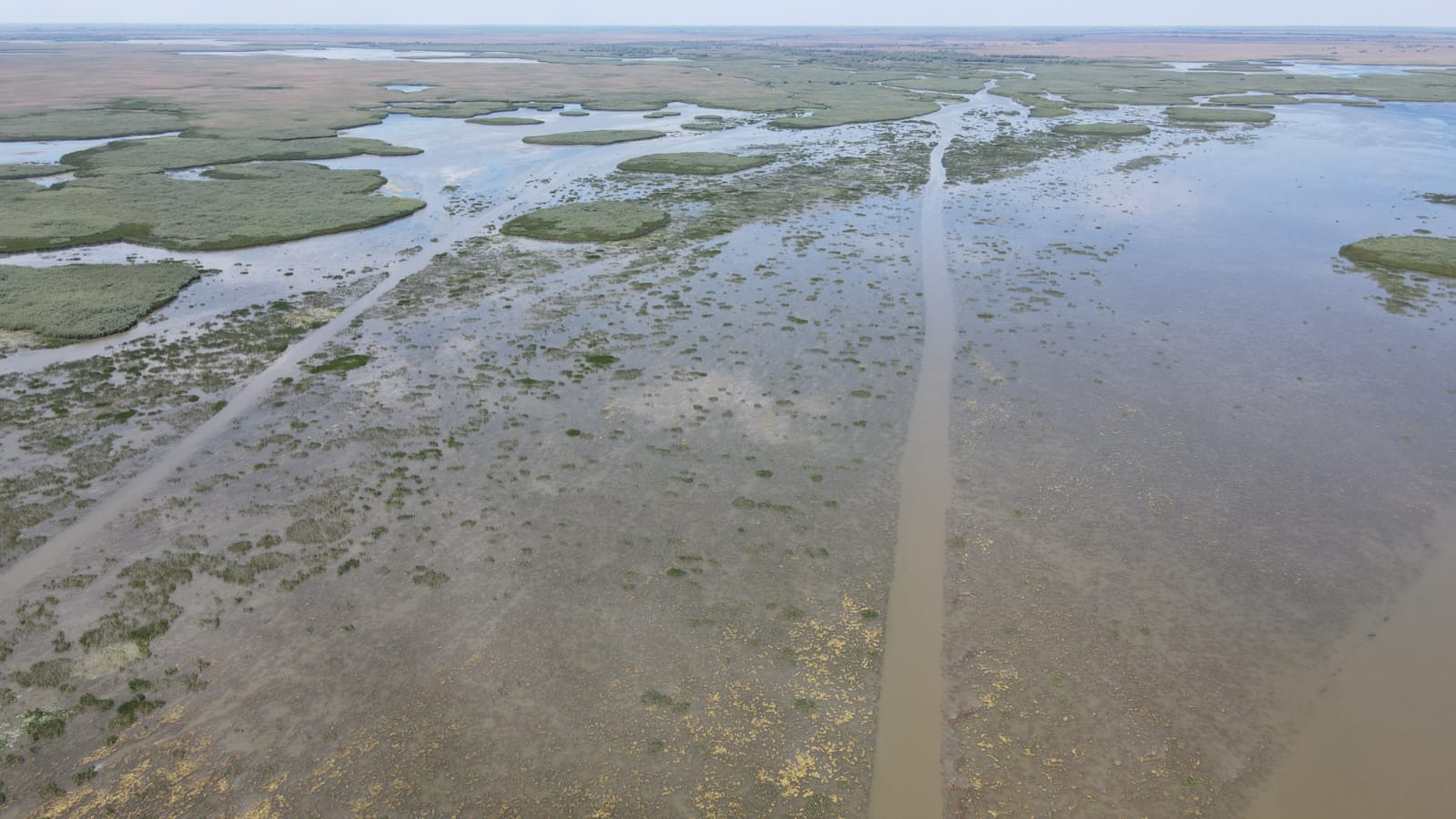 В Астраханском заповеднике защищают воду от огня - фото 5