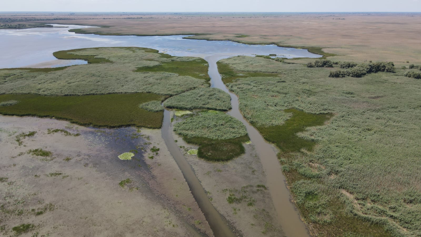 В Астраханском заповеднике защищают воду от огня - фото 6