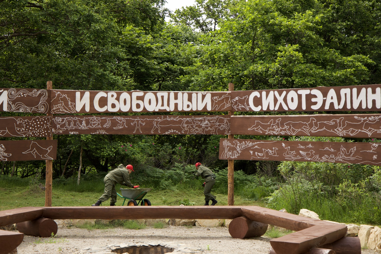 Открылась двенадцатая смена студенческого отряда «Тигр» в Сихотэ-Алинском заповеднике - фото 3