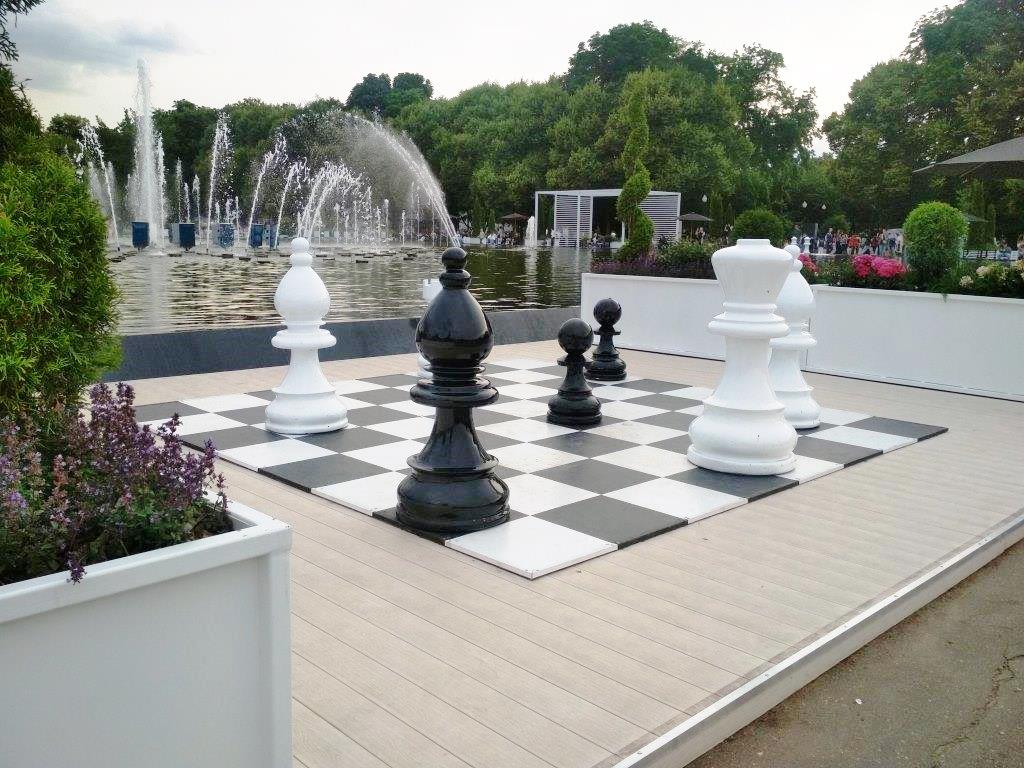 33шахматы1