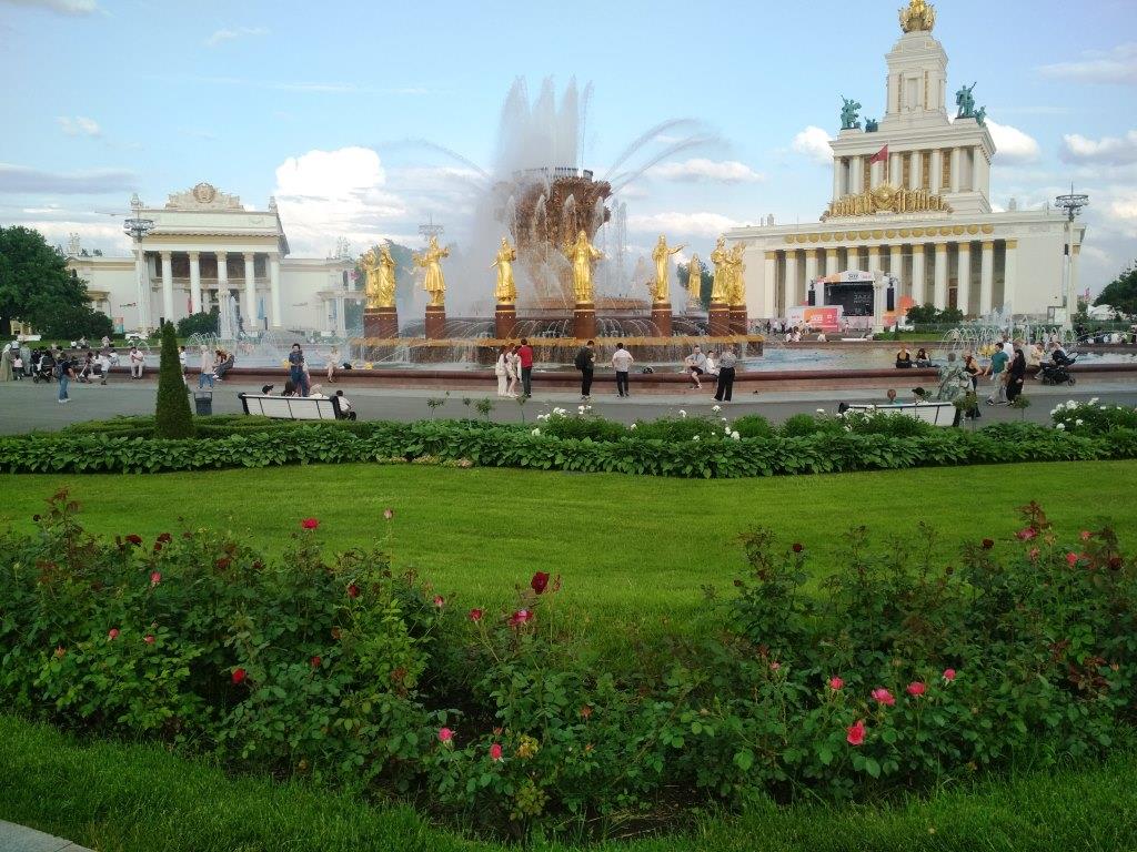 В Москве расцвели розы  - фото 4