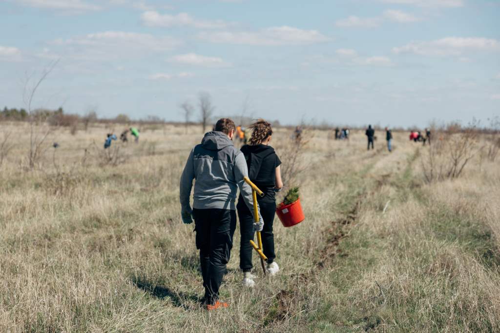 «Космический лес»: в Саратове посадили более 11 тысяч сосен в День космонавтики  - фото 3