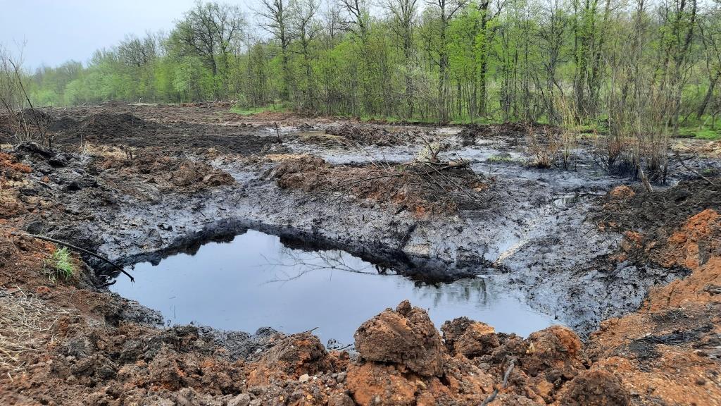 Александр Веселов: В БОЛОТЕ ЭКОЛОГИЧЕСКОЙ БЕЗОТВЕТСТВЕННОСТИ - фото 1