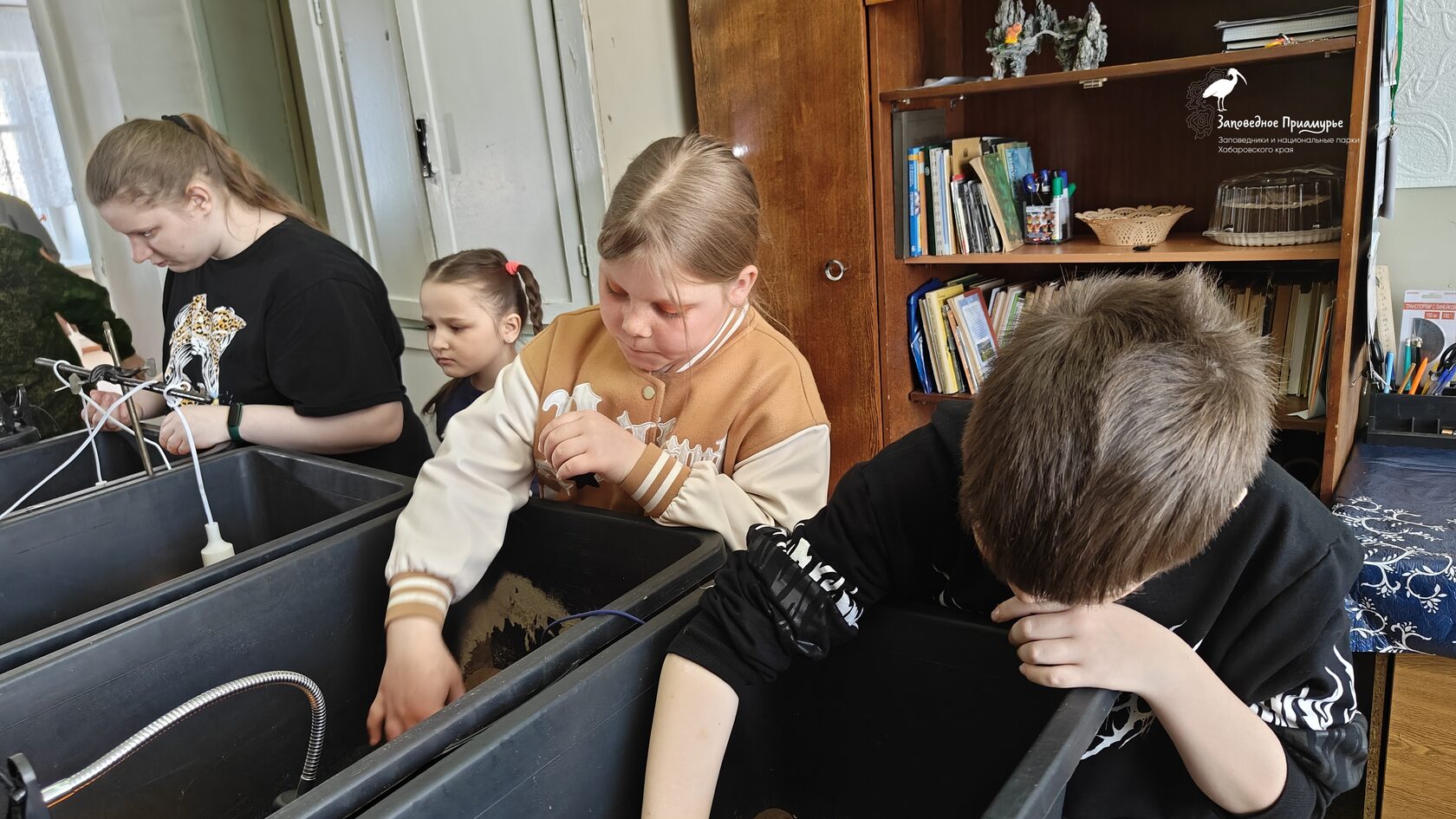 На заповедных территориях спасают и изучают уникальных пресмыкающихся – черепах - фото 2