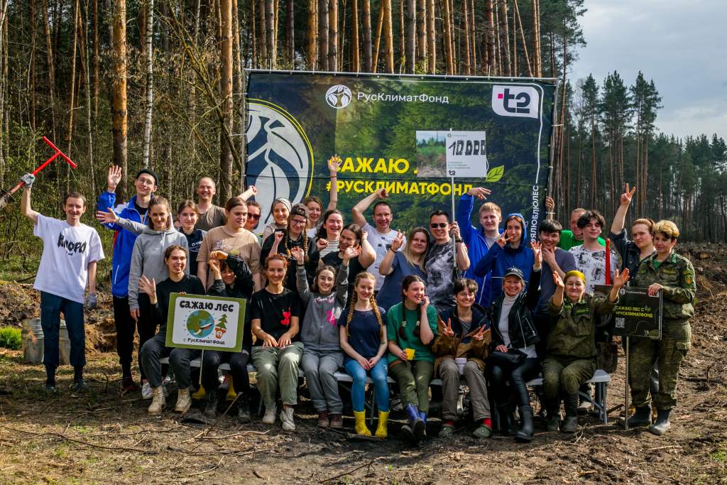 В Подмосковье высадили 17 тысяч молодых сосен - фото 2