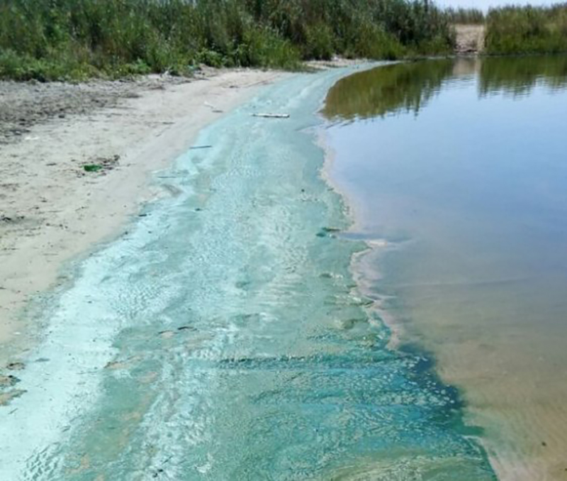 Голубая вода фото донской