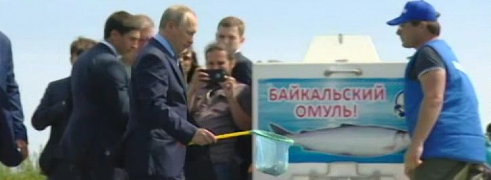Президент принял участие в церемонии выпуска в озеро молоди байкальского омуля - фото 1