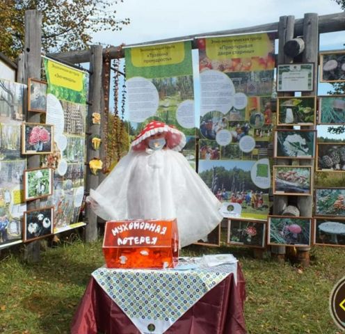 В национальном парке «Чаваш вармане» прошёл Фестиваль грибов - фото 32