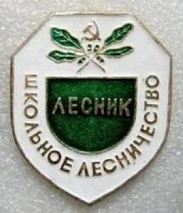 В школьных лесничествах Тамбовской области занимаются больше 1000 детей - фото 1