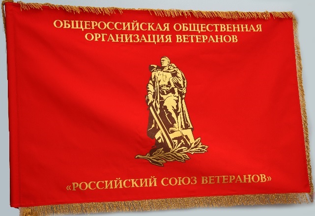 Союз ветеранов возмутился решением Минкульта о запрете свастики  - фото 1