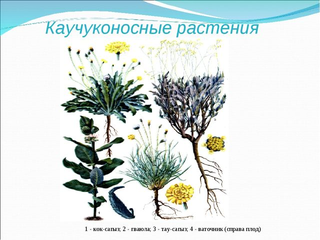 Ярославия: есть что вызволить из забвения... - фото 1