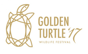 Международный конкурс The Golden Turtle объявляет старт зрительского голосования  - фото 1