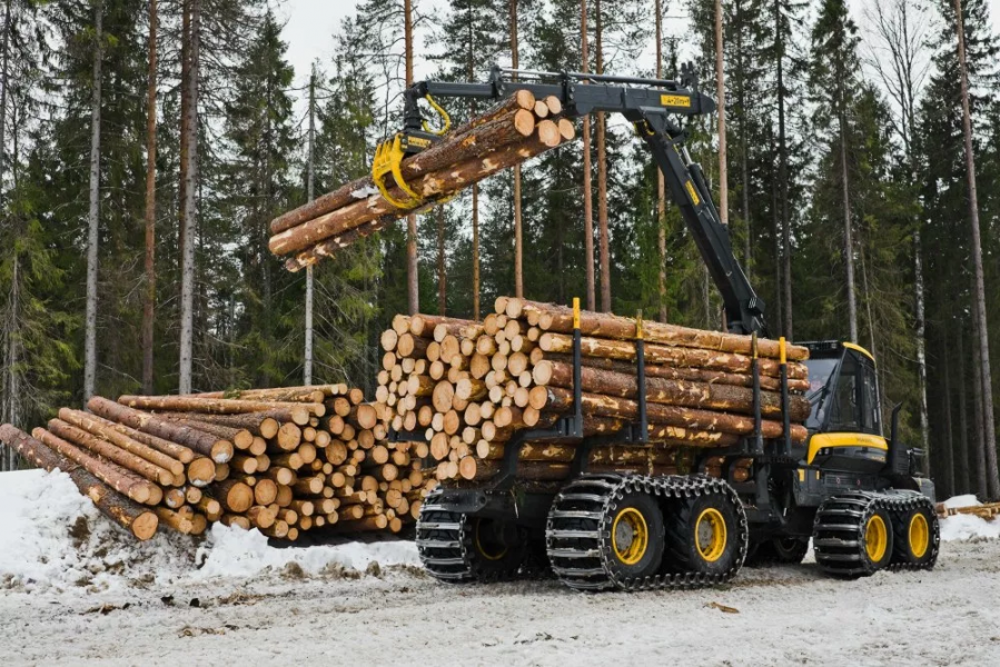 Европа требует вернуть обратно прежнюю схему вывоза из России круглого леса и отменить введенные ограничения - фото 1