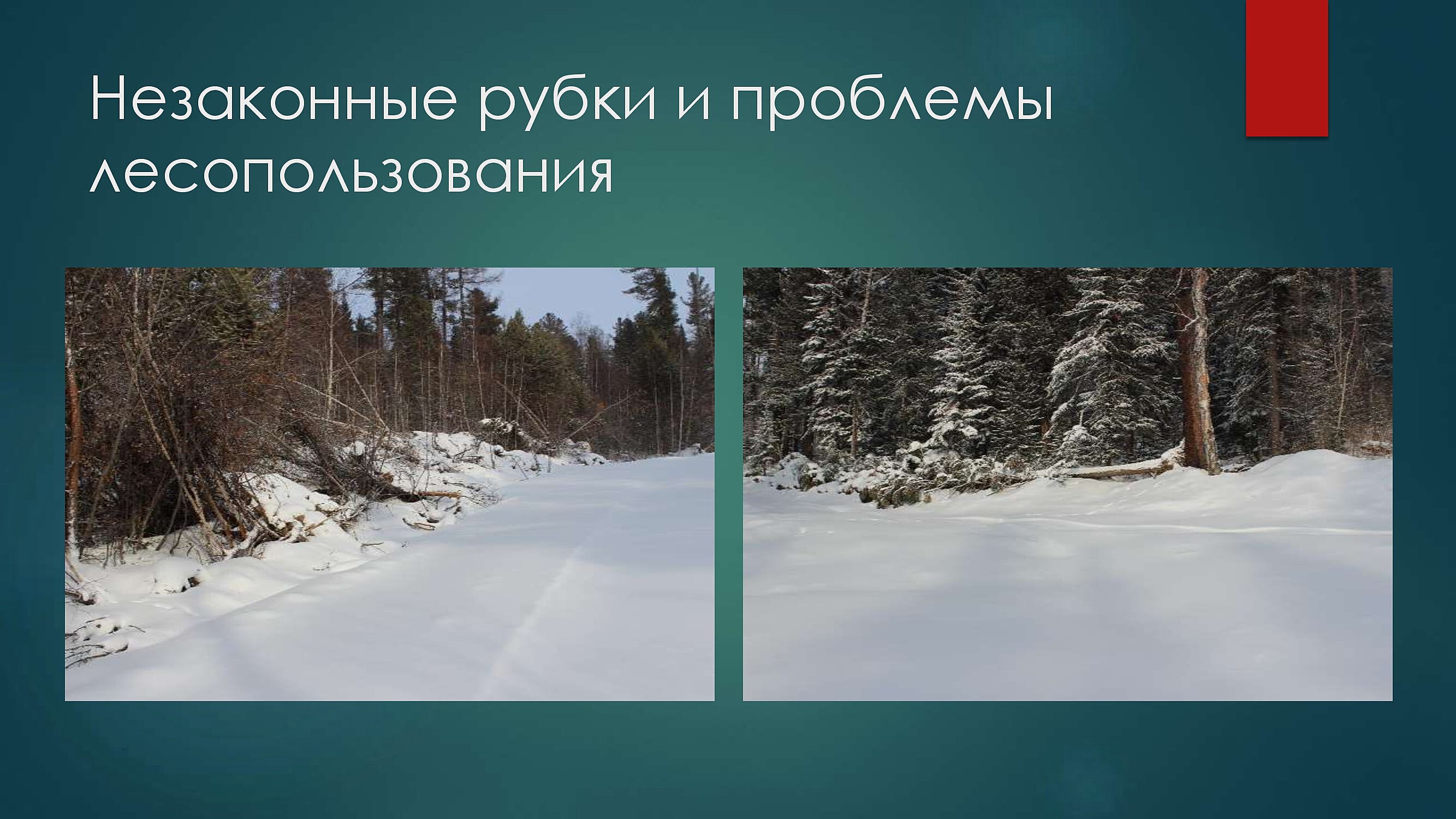 Александр Соснов рассказал коллегам об экологических проблемах муниципального района «Красночикойский» - фото 8