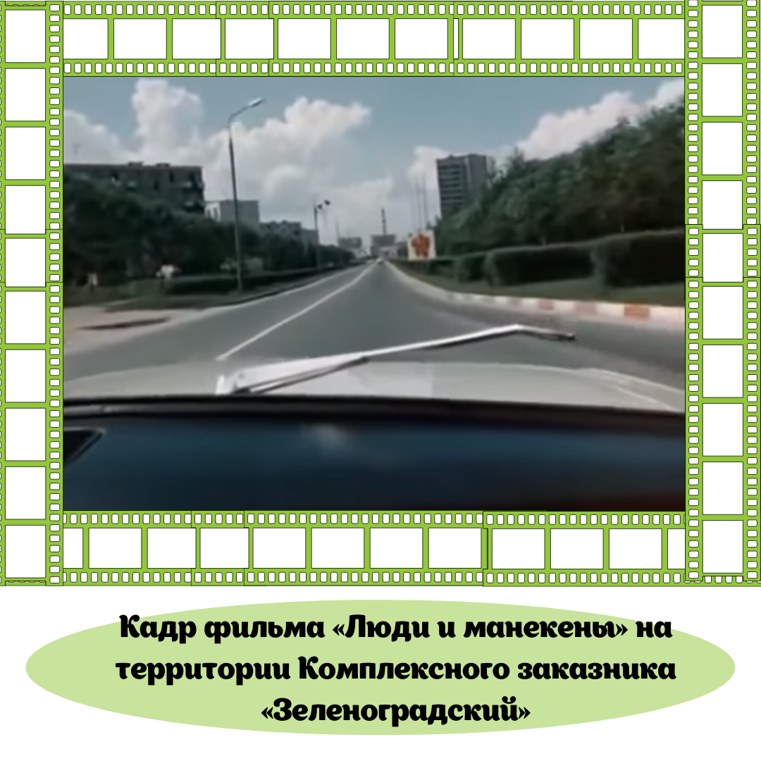КиноМосприрода: какие фильмы снимались на природных территориях Москвы - фото 2