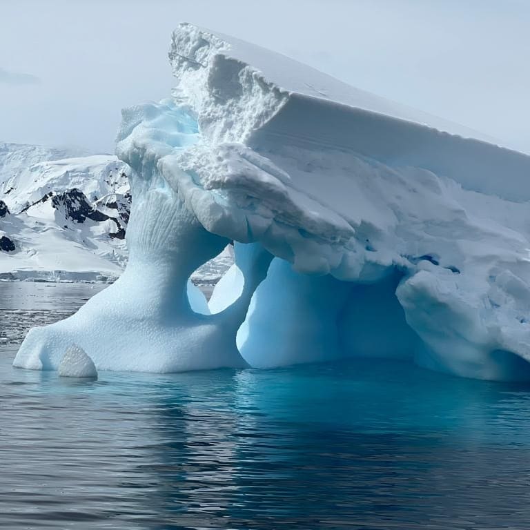 Команда Клуба полярных путешествий прибыла в Антарктиду  - фото 8