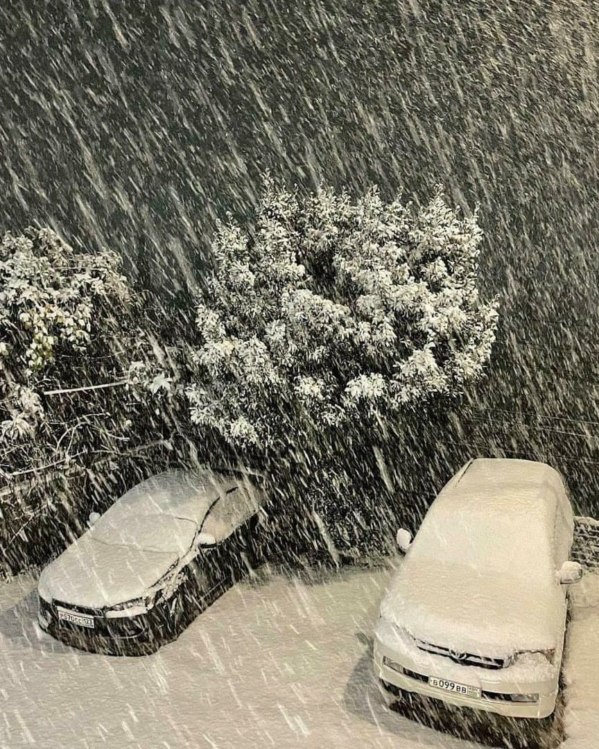 В Абхазии выпал снег - фото 1