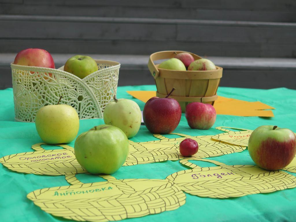 Три Спаса в августе: Медовый, Яблочный, Ореховый – отмечаем «Праздник урожая» с Мосприродой - фото 3