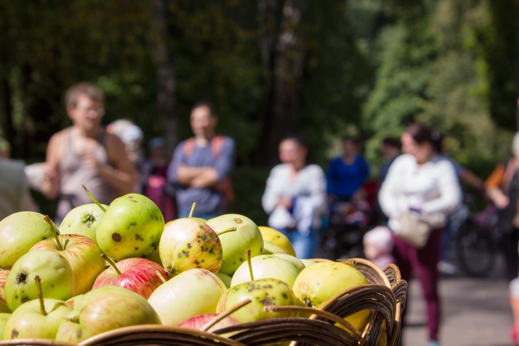 Три Спаса в августе: Медовый, Яблочный, Ореховый – отмечаем «Праздник урожая» с Мосприродой - фото 2