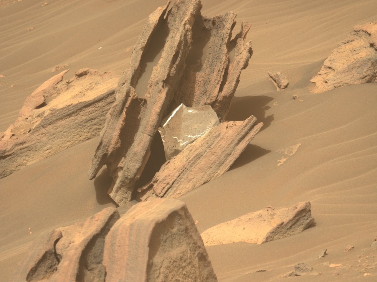 фрагмент цефалона на марсе варфрейм фото 94
